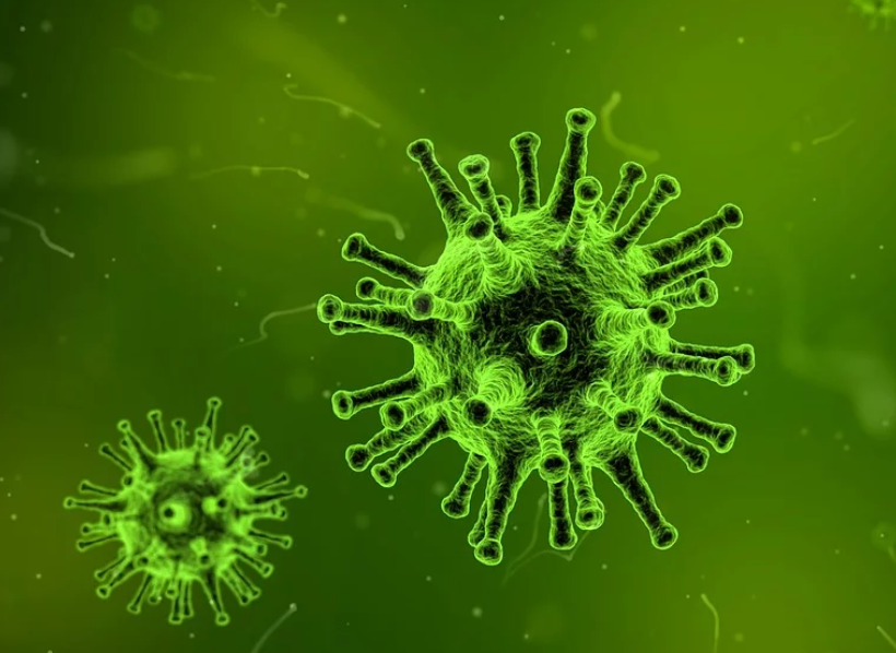 【通知】廣東發(fā)布通知：各類企業(yè)復(fù)工時(shí)間不早于2月9日24時(shí)