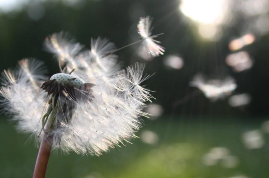 【簽約】品牌網(wǎng)站建設(shè)公司國人偉業(yè)簽約*德利環(huán)境科技品牌網(wǎng)站建設(shè)