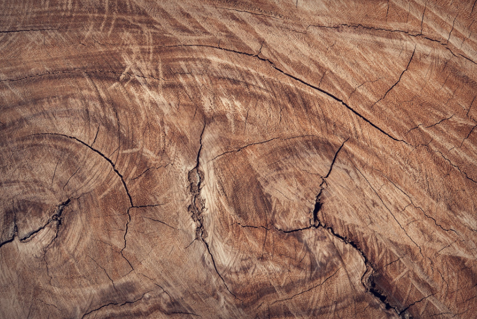 【簽約】深圳網(wǎng)站建設公司國人偉業(yè)簽約真*木業(yè)建設品牌形象網(wǎng)站